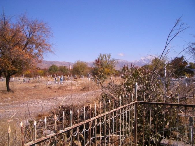 cimg0406_2135070080_o