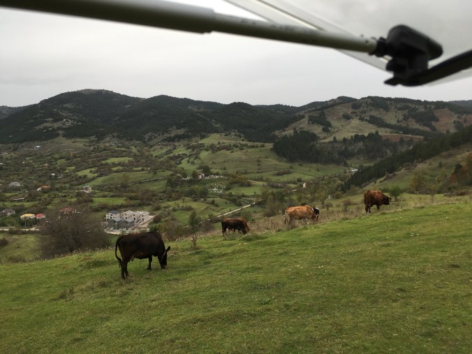 img_7233jpg_30343345405_o